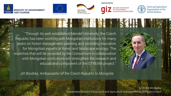 Projekt STREAM Projekt STREAM